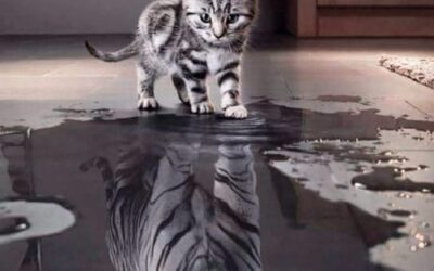 ESTIME DE SOI, CONFIANCE EN SOI, AFFIRMATION DE SOI