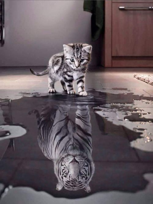 ESTIME DE SOI, CONFIANCE EN SOI, AFFIRMATION DE SOI
